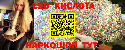 твердый Краснознаменск